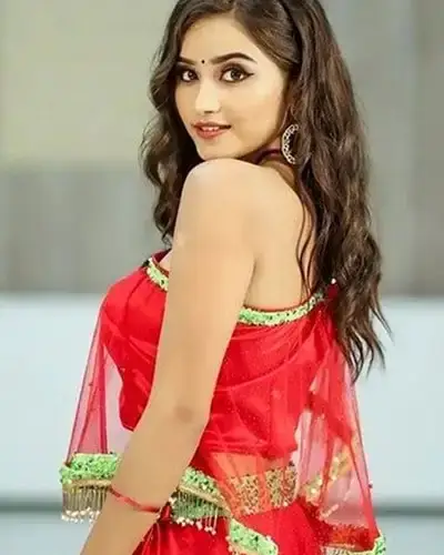 Call Girls Service Haripal